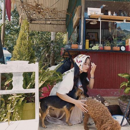 Homestay Bien Rung Gia Nghĩa Zewnętrze zdjęcie