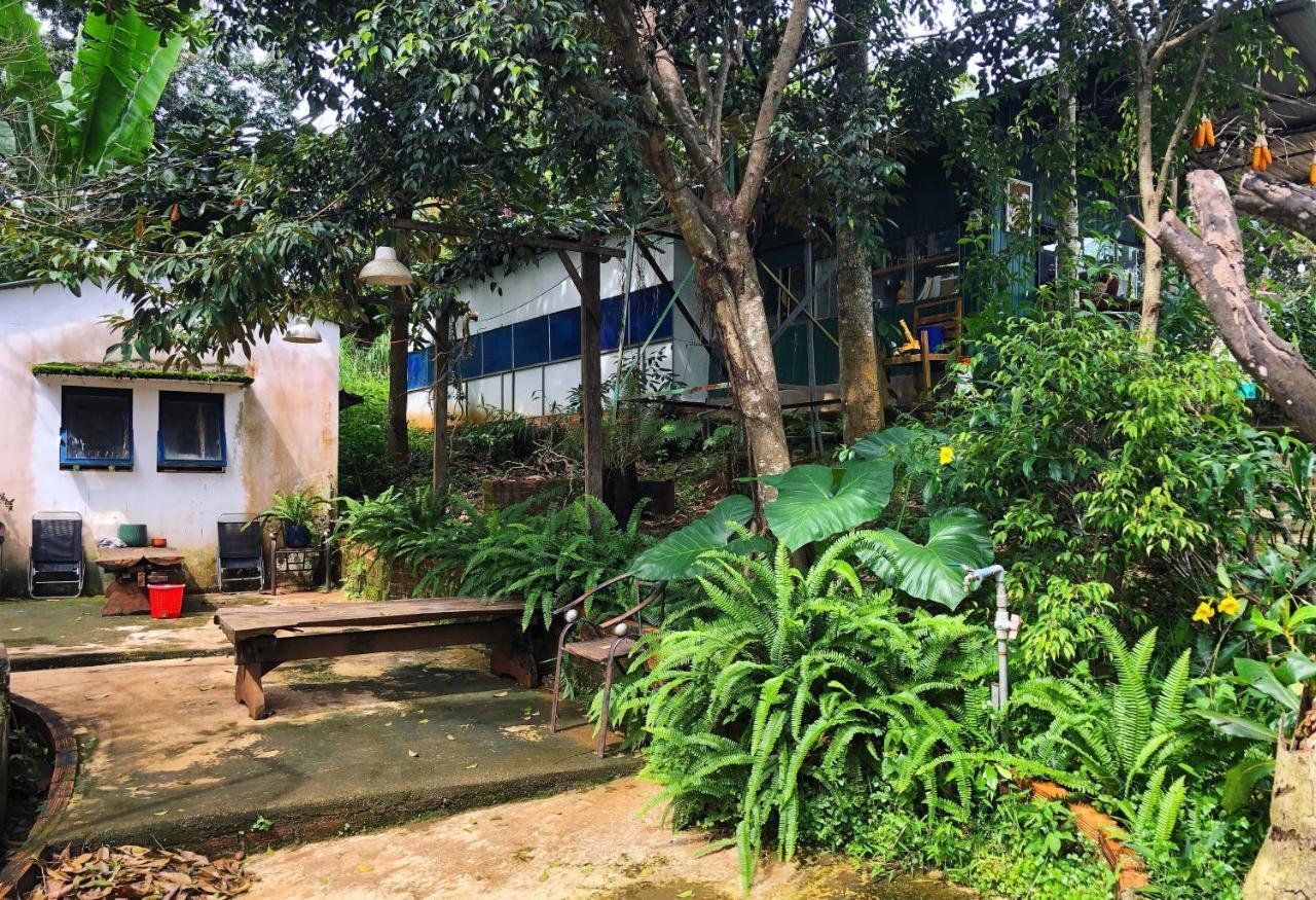 Homestay Bien Rung Gia Nghĩa Zewnętrze zdjęcie