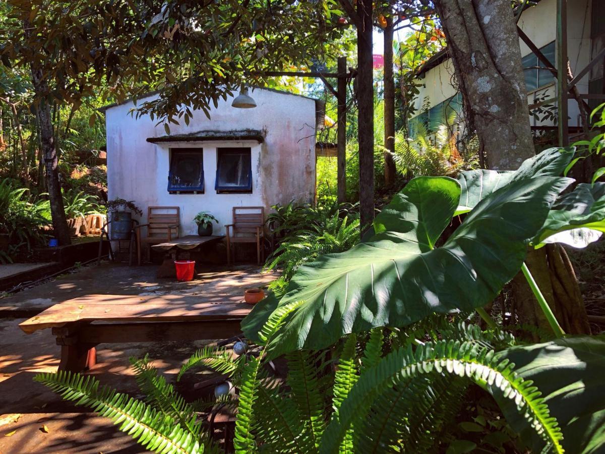 Homestay Bien Rung Gia Nghĩa Zewnętrze zdjęcie