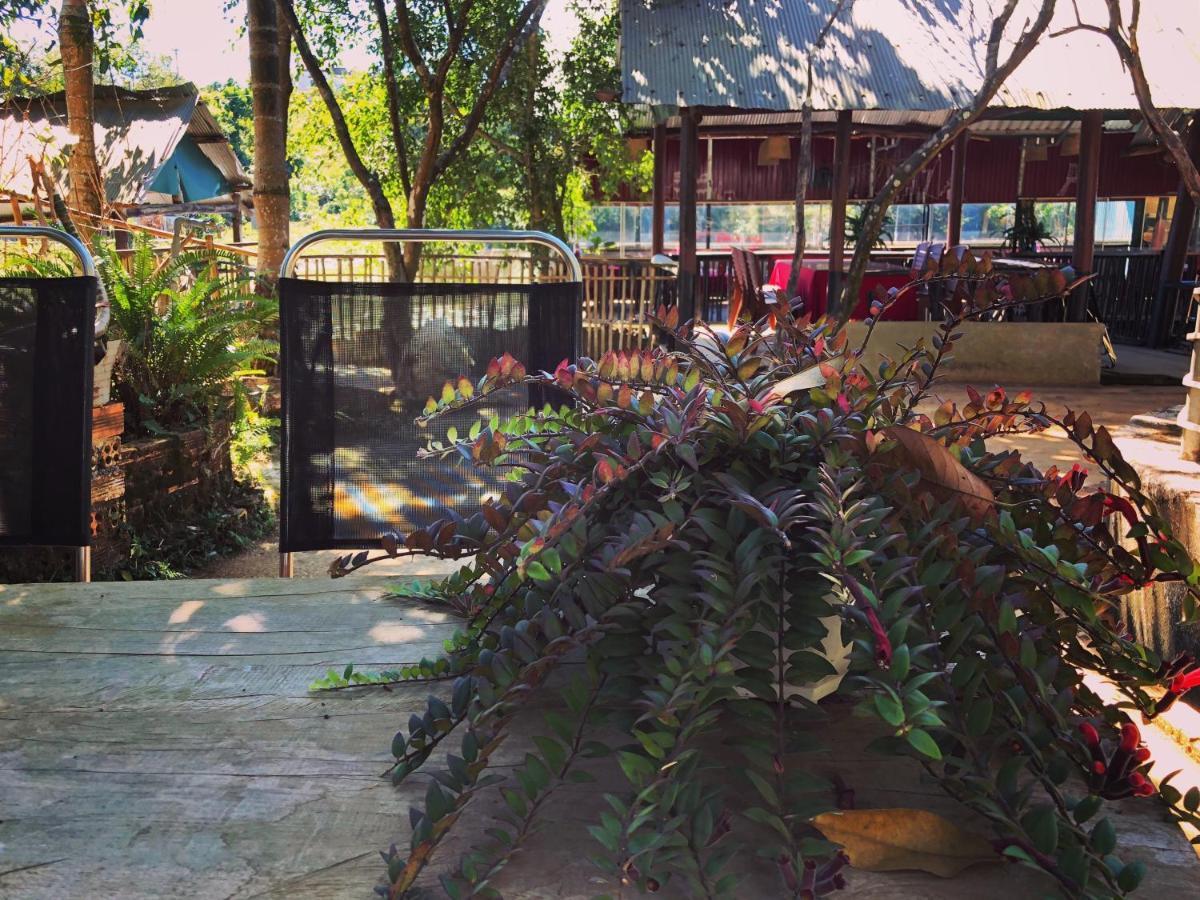 Homestay Bien Rung Gia Nghĩa Zewnętrze zdjęcie